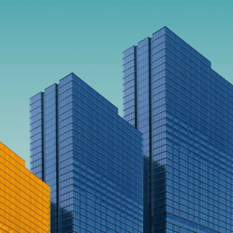 Webinar Omgevingswet in de praktijk - 2023