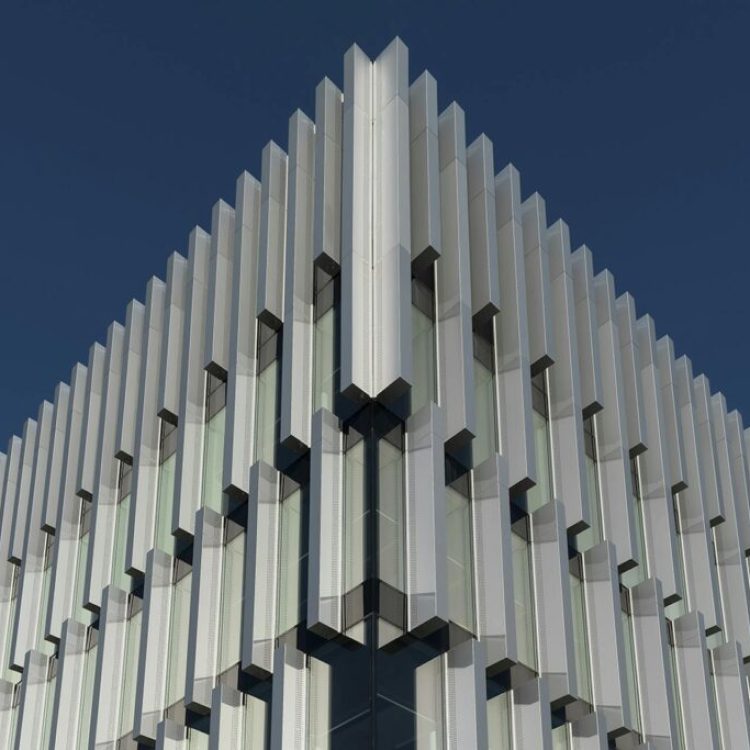 Advies en ondersteuning